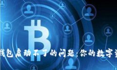 解决狗狗币钱包启动不了