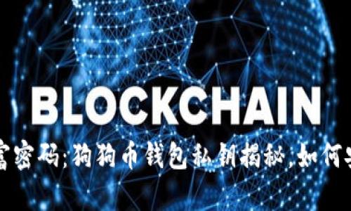   探索你的财富密码：狗狗币钱包私钥揭秘，如何安全存储与管理
